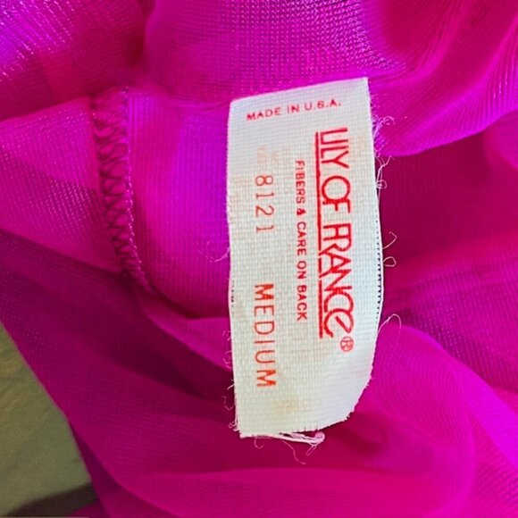 Lily of France Rosa Puleo-Szule 70's Sheer Chiffon Lingerie Slip Dress Medium - Picture 7 of 14